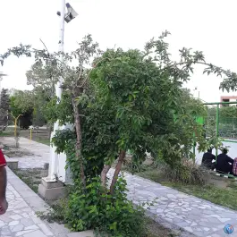 عکس پارک امام رضا (ع)؛ لیمجیر، اصفهان 9