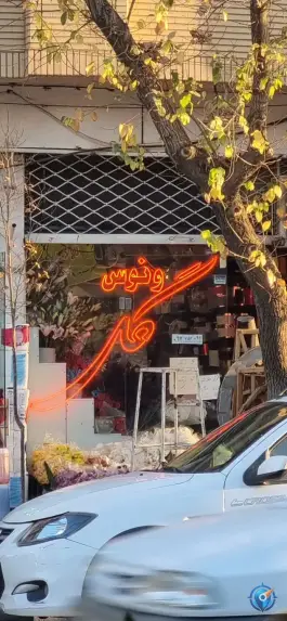 عکس های گل ونوس، چهار امامزاده، قم