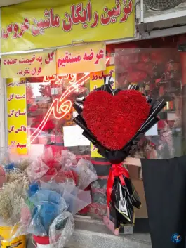 عکس گل ونوس، چهار امامزاده، قم 2