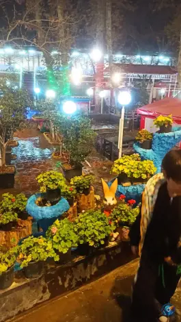 عکس سفره خانه سنتی عبدالرزاق، میدان فرحزاد، تهران 8