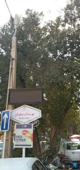عکس بوستان نیلوفر، فاطمی ۷، قم 2