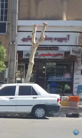 عکس آب میوه و بستنی مجتبی، میدان سعیدی، قم 2