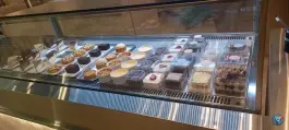 عکس فنسی قدوسی غربی شیراز 4
