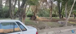 پارک مطالعه خواهران، شهدای صفه، اصفهان