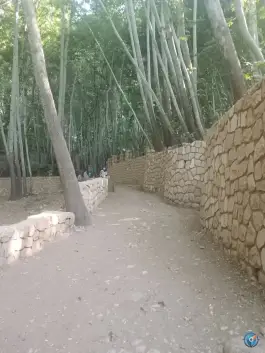 عکس آبشار قلات، شیراز 7