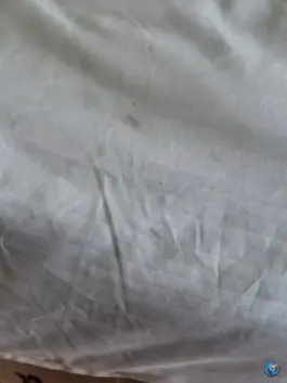 عکس هتل عرش نوشهر، منطقه محافظت شده البرز مرکزی 6