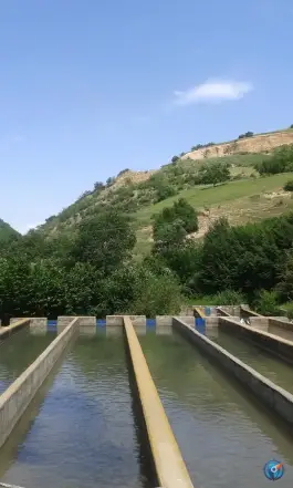 عکس استخر پرورش ماهی قزل آلا کرامت لو، تنگه، مینودشت 2