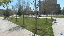 عکس بوستان انصار، شهرک امام حسن، قم 1