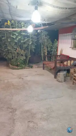 عکس جگرکی کدخدا، بلوار ولیعصر، گلپایگان 1