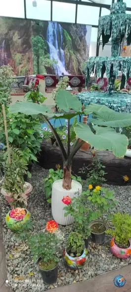 عکس جگرکی ام خسرو، بلوار شهید بهشتی شرقی، محلات 1