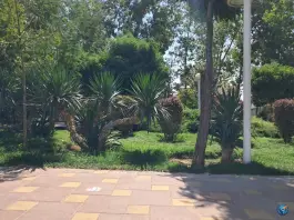عکس بوستان تاجیکستان، محله اصفهانی ها، کرج 2