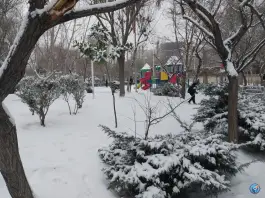 عکس بوستان تاجیکستان، محله اصفهانی ها، کرج 6