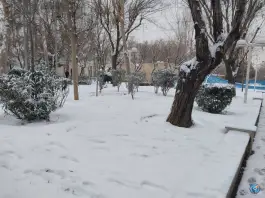 عکس بوستان تاجیکستان، محله اصفهانی ها، کرج 7