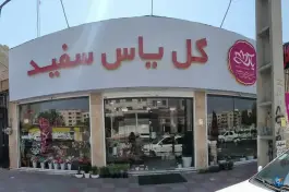عکس گل فروشی یاس سفید، گلشهر ویلا، کرج 2