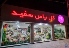 عکس گل فروشی یاس سفید، گلشهر ویلا، کرج 3