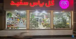 عکس گل فروشی یاس سفید، گلشهر ویلا، کرج 4