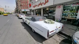 عکس گل فروشی یاس سفید، گلشهر ویلا، کرج 8