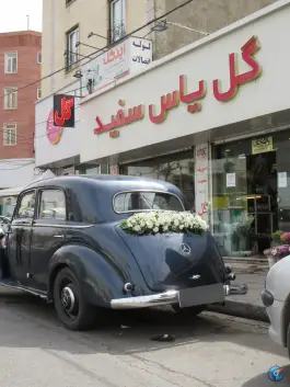 عکس گل فروشی یاس سفید، گلشهر ویلا، کرج 10