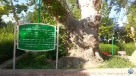 عکس استخر و آب نمای بش قارداش، بجنورد 4