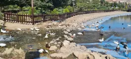 عکس اکو پارک صدرا، شهر صدرا، شیراز 3