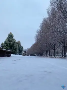 عکس اکو پارک صدرا، شهر صدرا، شیراز 5
