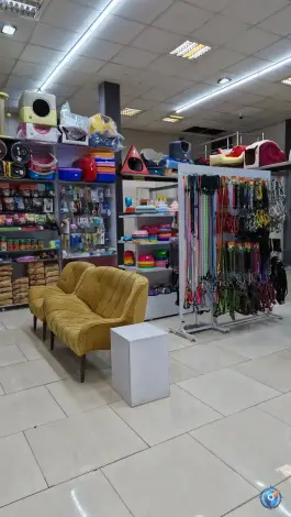 عکس مجتمع درمانی دامپزشکی و پت شاپ H&H، محله باسکول، قم 6