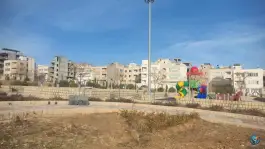 عکس بوستان صنوبر، گلستان شمالی، شیراز 3