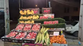 عکس قصر میوه، بلوار خرمشهر، شیراز 1