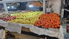 عکس قصر میوه، بلوار خرمشهر، شیراز 2