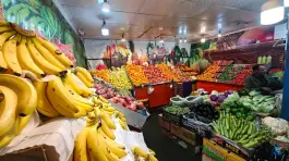 عکس میوه سرای آلا، محله نیروگاه قم 1