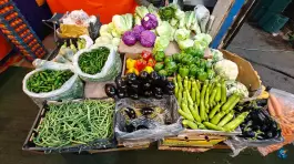 عکس میوه سرای آلا، محله نیروگاه قم 6