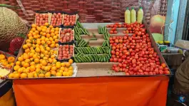 عکس میوه سرای آلا، محله نیروگاه قم 7
