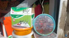 عکس میوه سرای آلا، محله نیروگاه قم 8