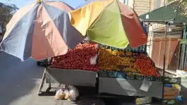 عکس میوه سرای آلا، محله نیروگاه قم 9
