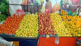 عکس میوه سرای آلا، محله نیروگاه قم 10