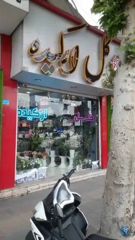 عکس گل فروشی ارکیده محمدشهر کرج 1