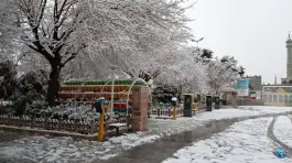 عکس بوستان ملی، محله ارم، قم 6