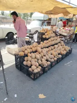 عکس پنج شنبه بازار قم؛ محله نوقطار 9