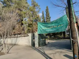 عکس سازمان جهاد کشاورزی استان فارس، ساختمان شماره ۲، شیراز 4