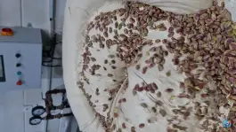عکس سوهان و گز محمدجواد، محله بکایی، قم 6