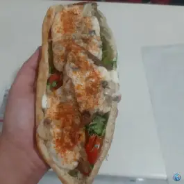 عکس پیتزا ساندویچ داتیس، شهرک شاهد، بجنورد 3