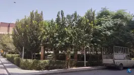 عکس بوستان افرا، دارالحدیث ۱۳، قم 2