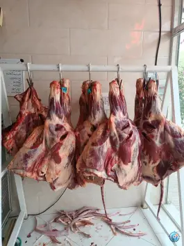 عکس سوپر گوشت سادات، محله نخودی قم 3