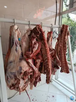 عکس سوپر گوشت سادات، محله نخودی قم 4