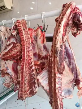 عکس سوپر گوشت سادات، محله نخودی قم 5