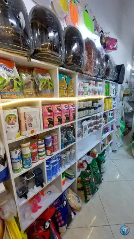 عکس پت شاپ طوطی مارکت، بیست متری امام حسین، قم 1