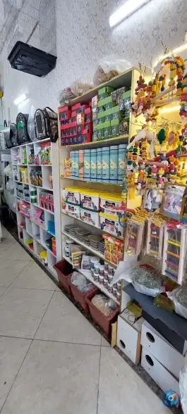 عکس پت شاپ طوطی مارکت، بیست متری امام حسین، قم 2