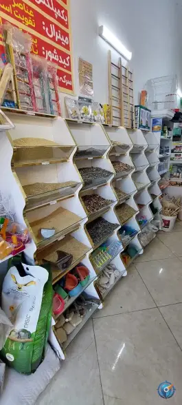 عکس پت شاپ طوطی مارکت، بیست متری امام حسین، قم 3