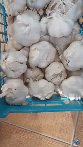 میوه فروشی برکت، آل یاسین اصفهان