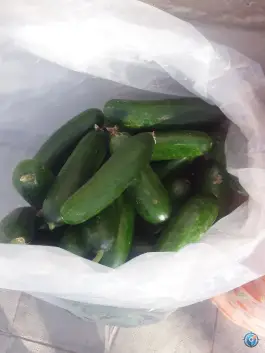 عکس میوه فروشی برکت، آل یاسین اصفهان 3